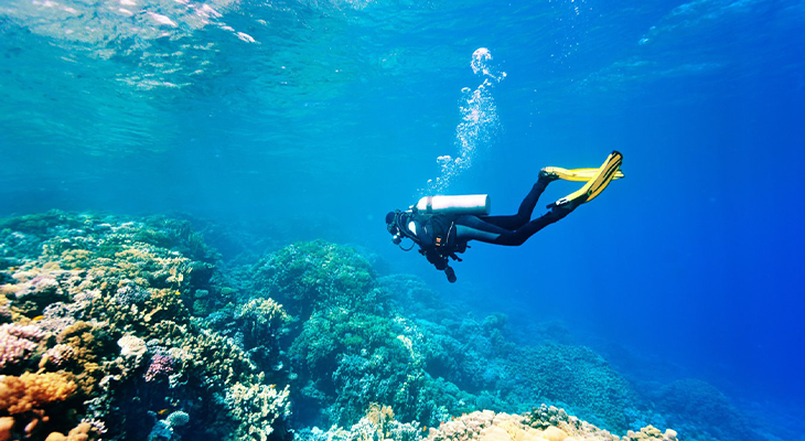 Al Jubail: 5 Hours Trip with Diving Experience every Saturday & Friday