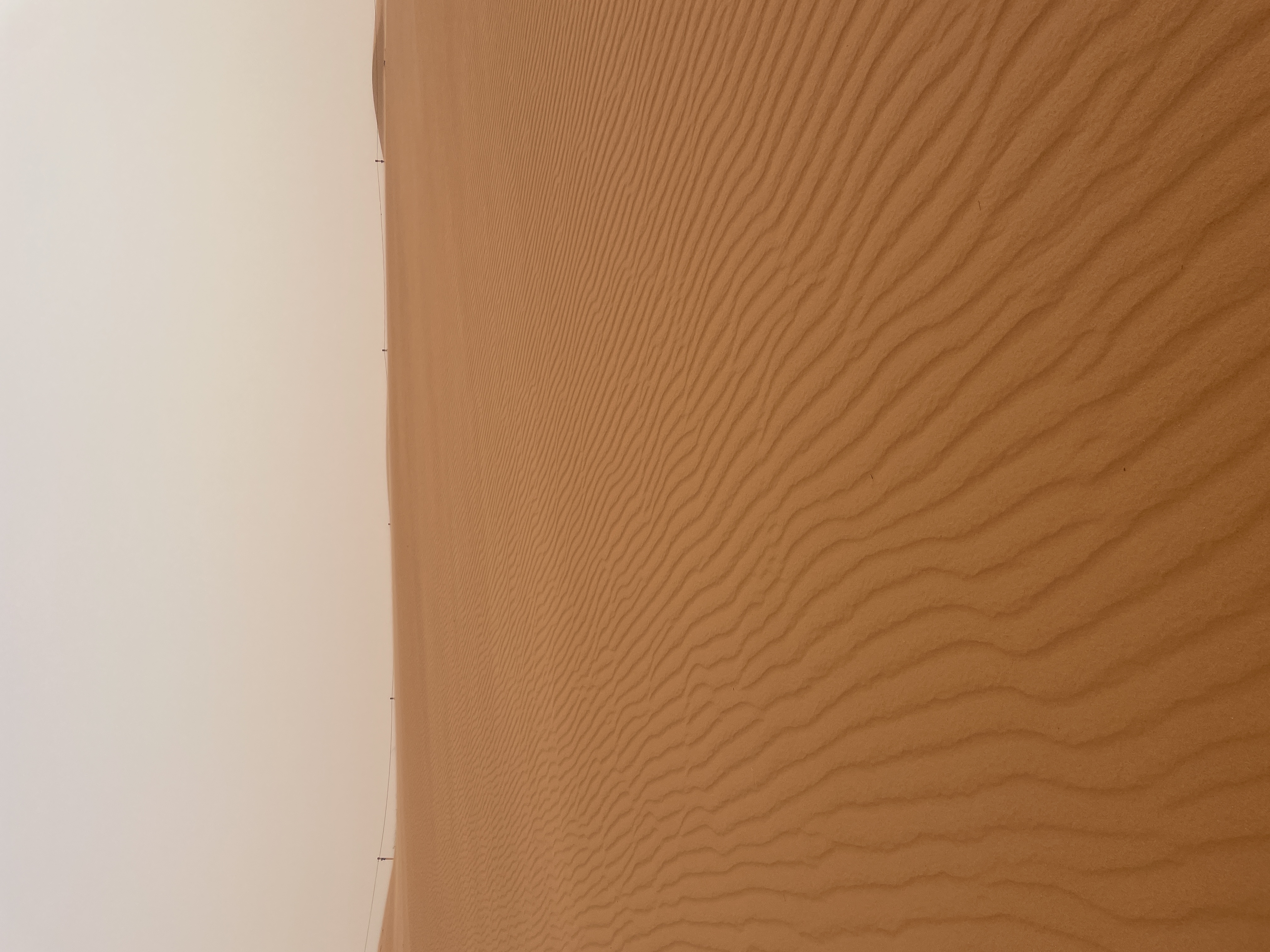 Photo from Reviews 4