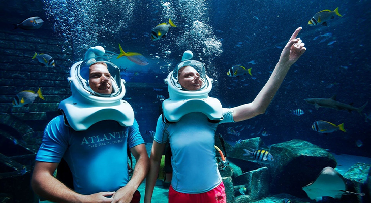 30-Minute Adventure In Aquatrek Xtreme 