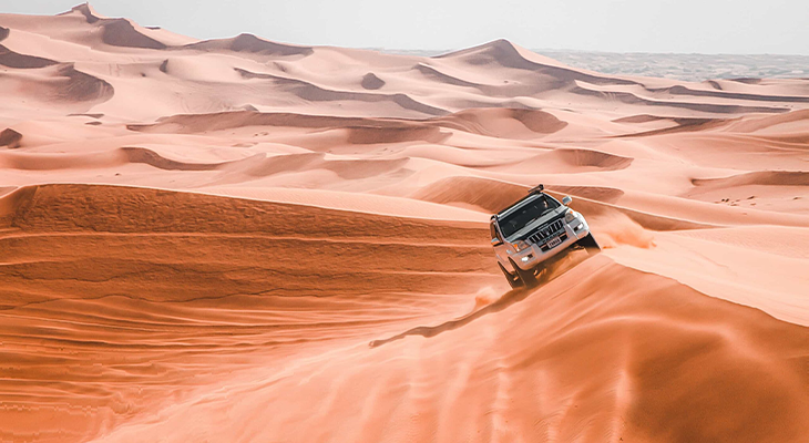 Ultimate Evening Safari with 20% Off