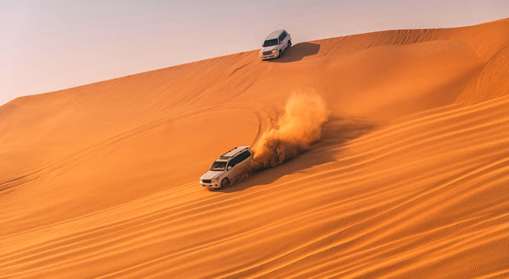 Ultimate Evening Safari with 20% Off