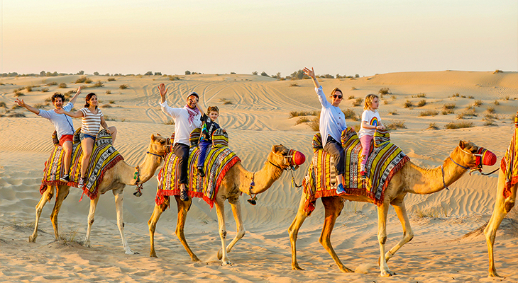 Ultimate Evening Safari with 20% Off