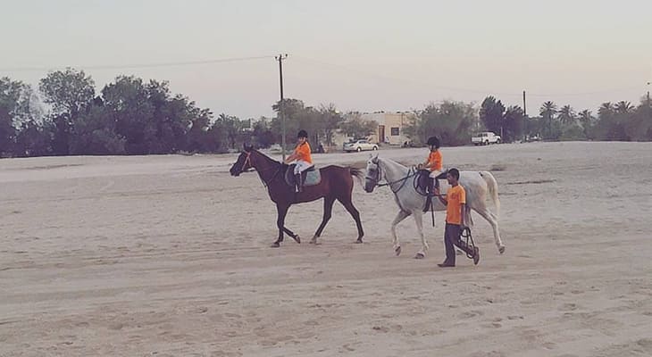 One Hour Horse Riding on the Beach in Bahrain