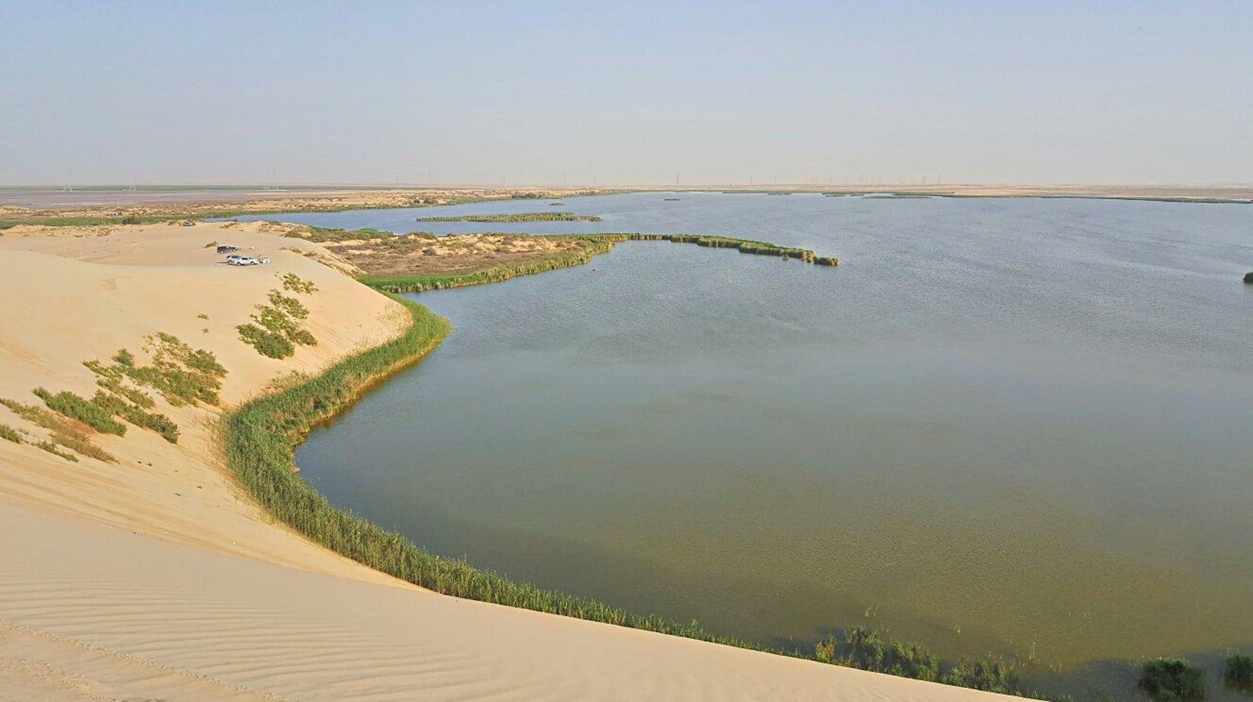 Desert Safari to Alasfar Lake