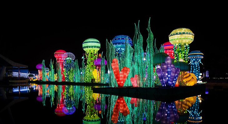 2 hours Entrance Ticket Dubai Glow Garden