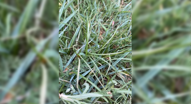 Abha: Advanced Hiking Experience in the Al Soudah Area with 20% Off