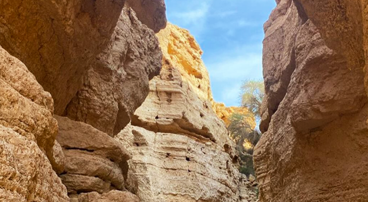 A Full-Day Trip To Al-Thumama Fault With Hiking at Owl Cave
