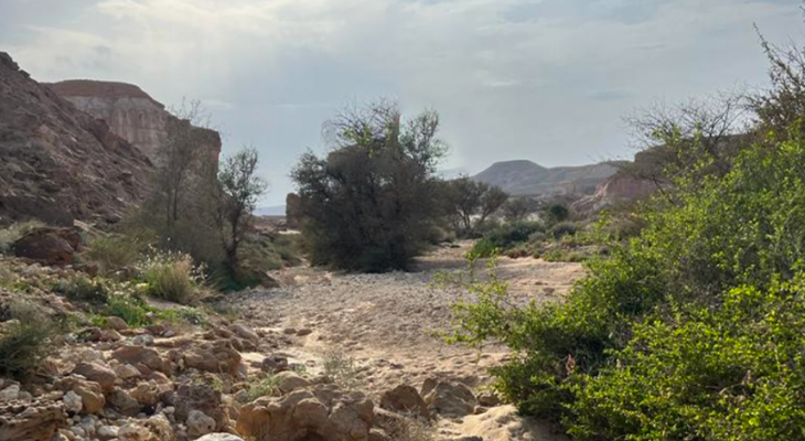 A Full-Day Trip To Al-Thumama Fault With Hiking at Owl Cave