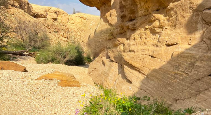 A Full-Day Trip To Al-Thumama Fault With Hiking at Owl Cave