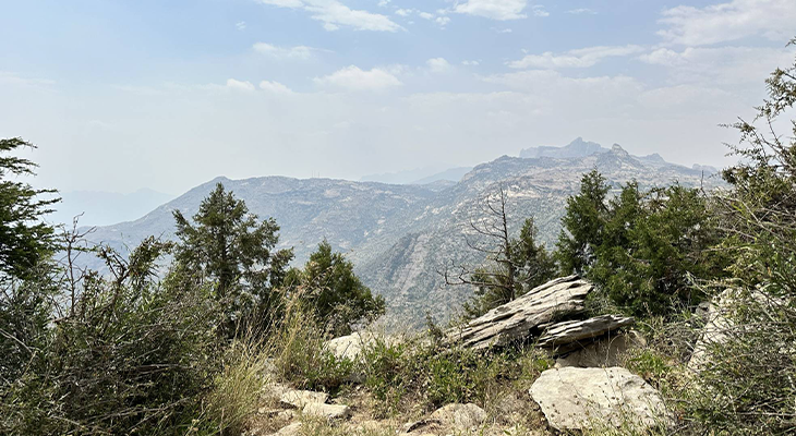 The Ridge Walk: Guided Hiking Trip at Tanomah