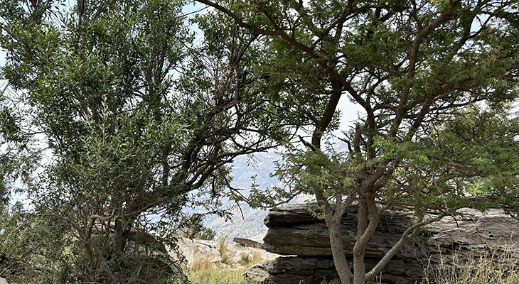 The Ridge Walk: Guided Hiking Trip at Tanomah