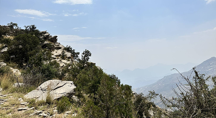 The Ridge Walk: Guided Hiking Trip at Tanomah