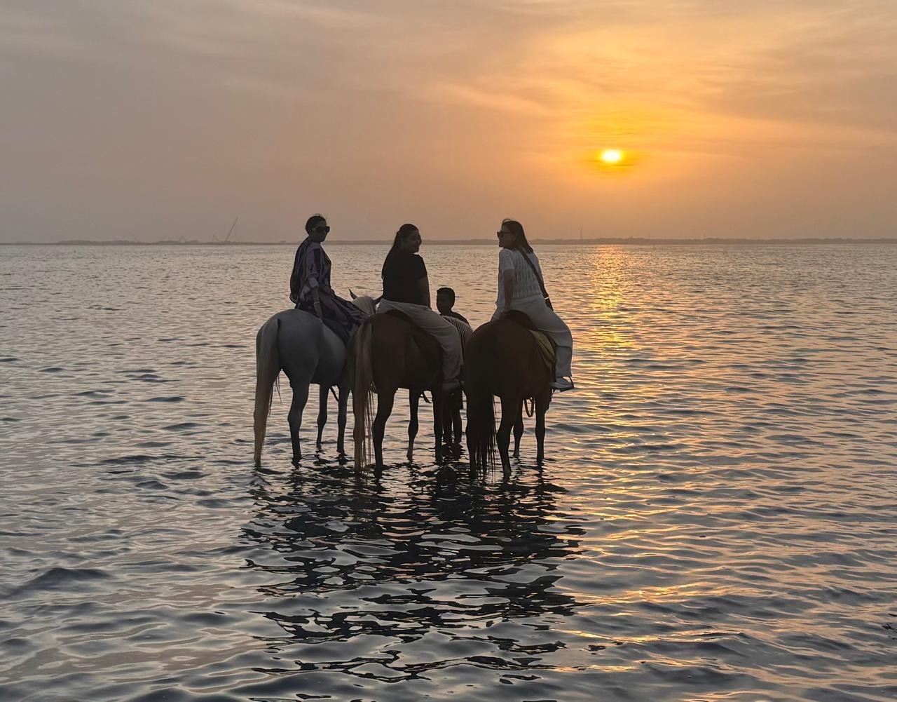 Photo from Reviews 1