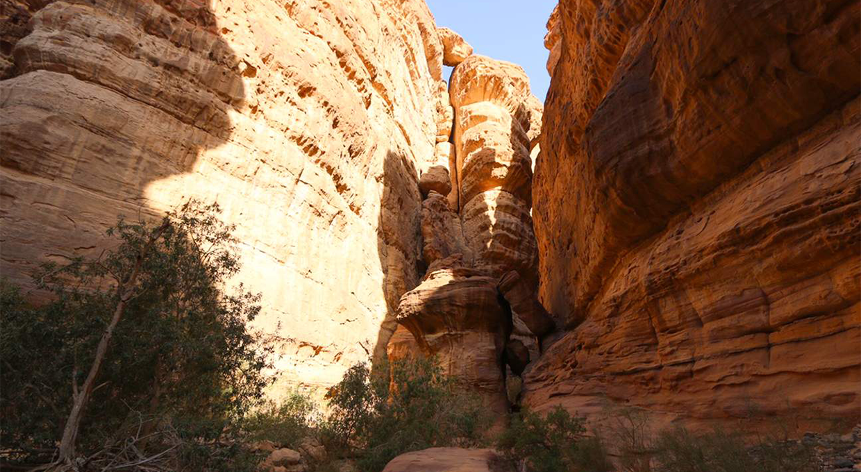 Hiking Through Madakhel Garden in AlUla