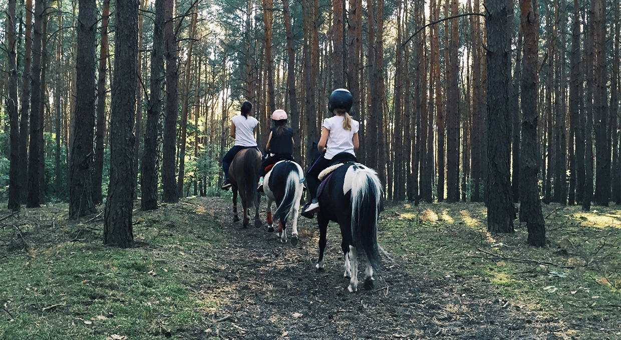 Horse riding in Karzakan Forest 