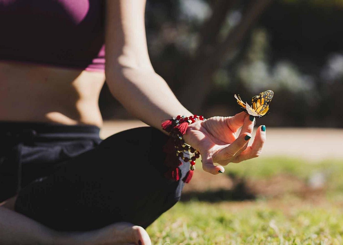 Butterfly Garden Dubai