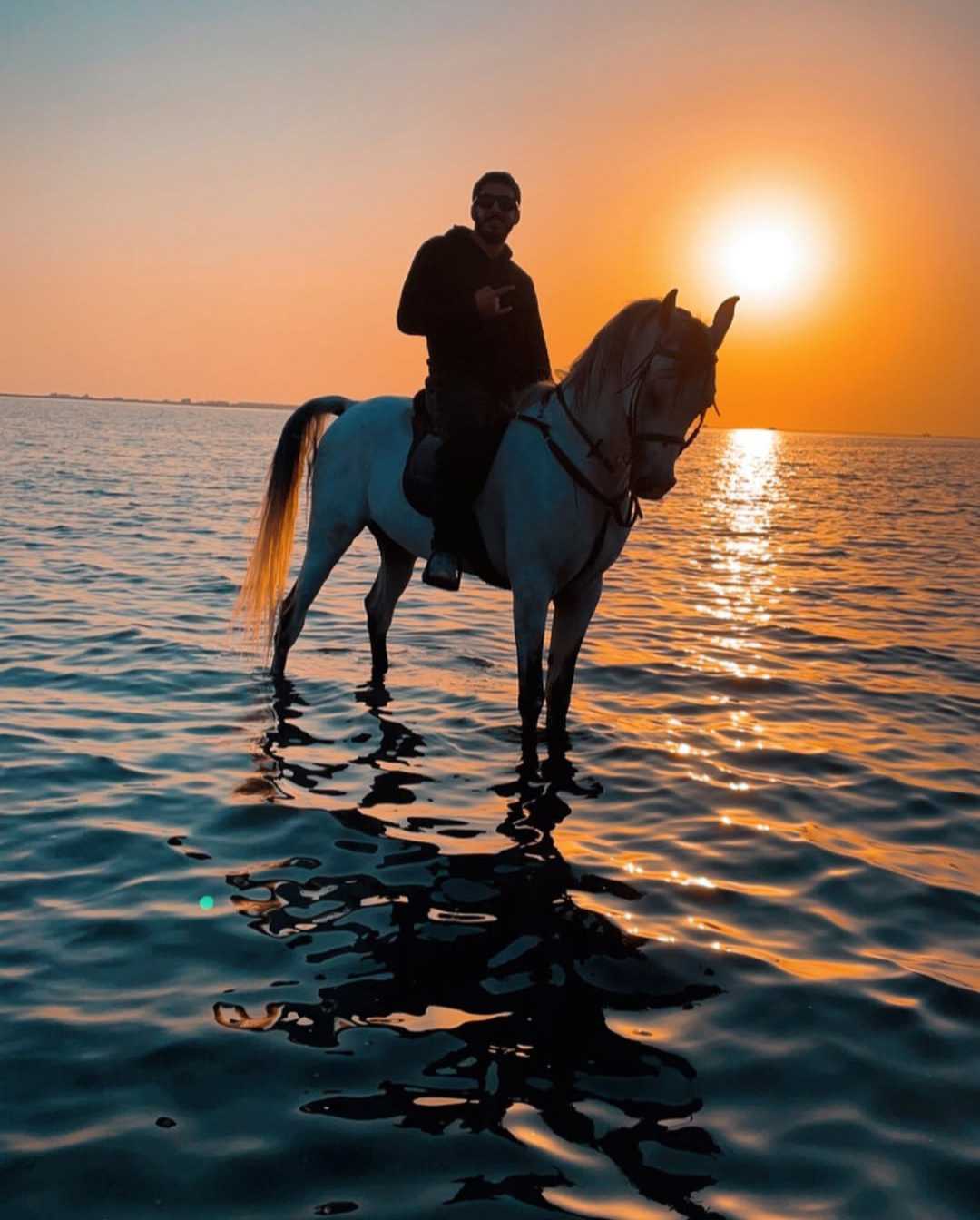One Hour Horse Riding and Swimming Tour at Ashour Beach for Professionals
