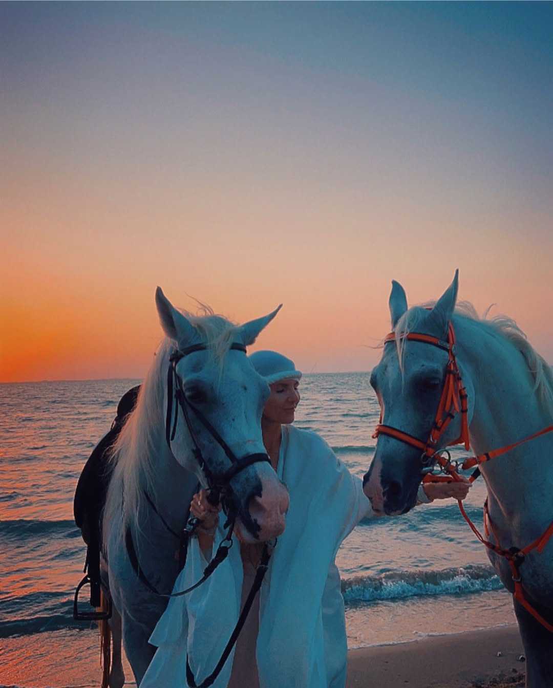  One Hour Horse Riding and Swimming Tour at Ashour Beach for Professionals