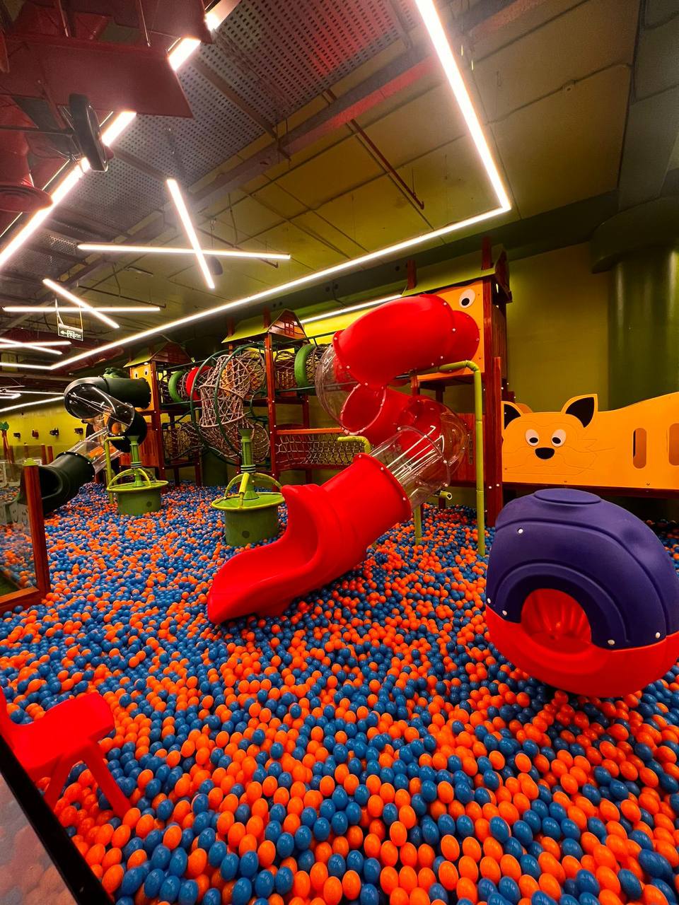 All Day Pass Ticket to Red Sea Beach Dhahran