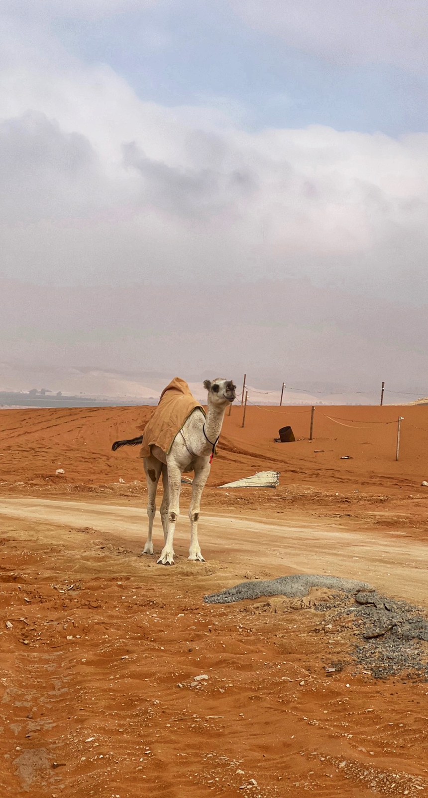 Sunset Experience in Riyadh Desert at Red Sands Resort