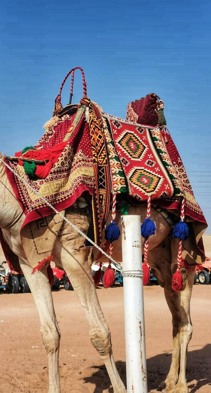 Sunset Experience in Riyadh Desert at Red Sands Resort