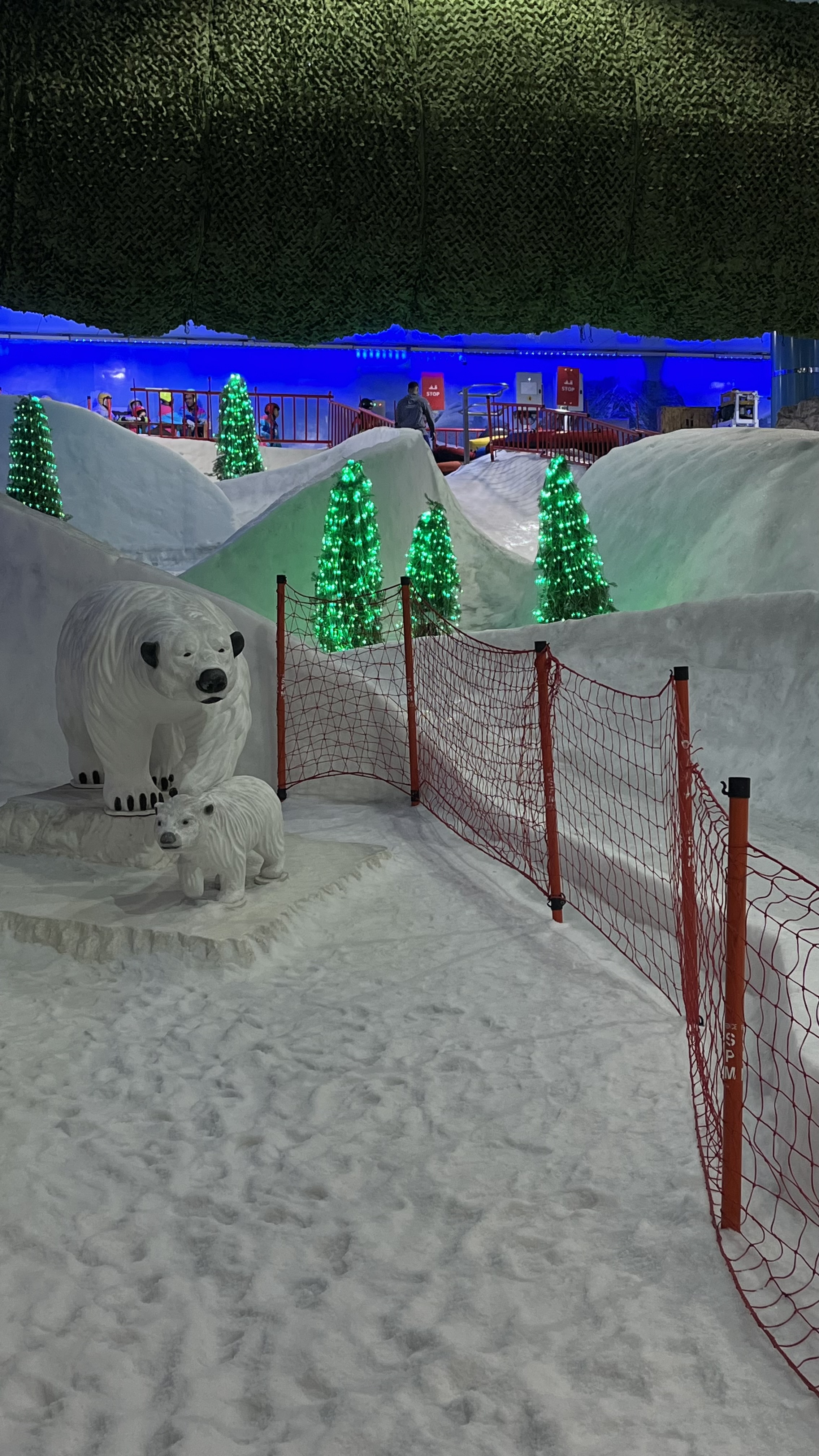 Photo from Reviews 4