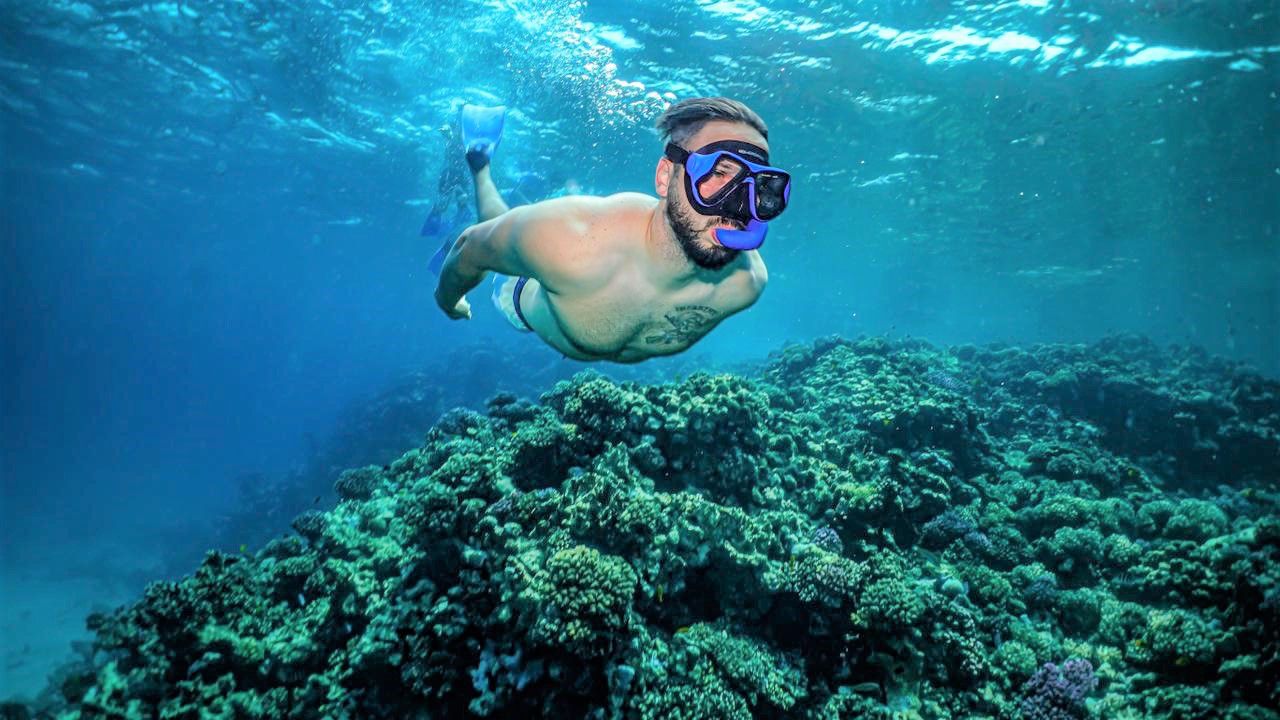  رحلة سنوركلنج في جدة تشمل الأدوات والسناكس لمدة 6 ساعات