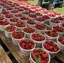 3 Days Trip to Explore Abha 