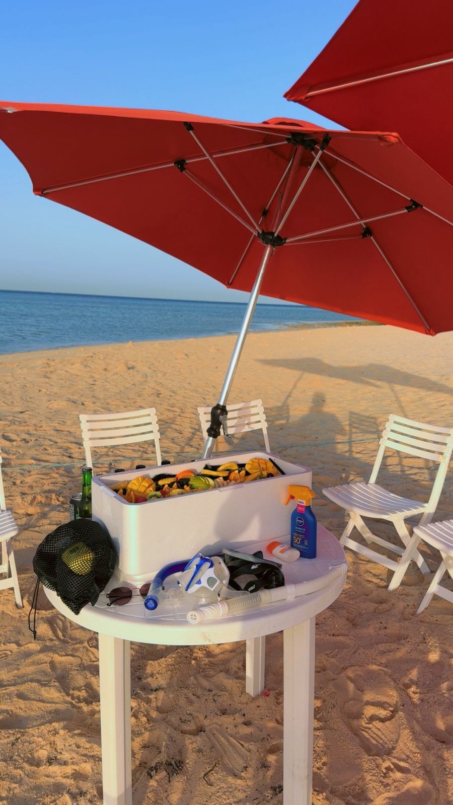 Book your trip now on Al Baridi island!