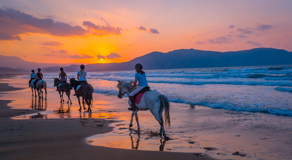 Enjoy Horse Riding on The Beach for 2 Hours + 1 Hour Free