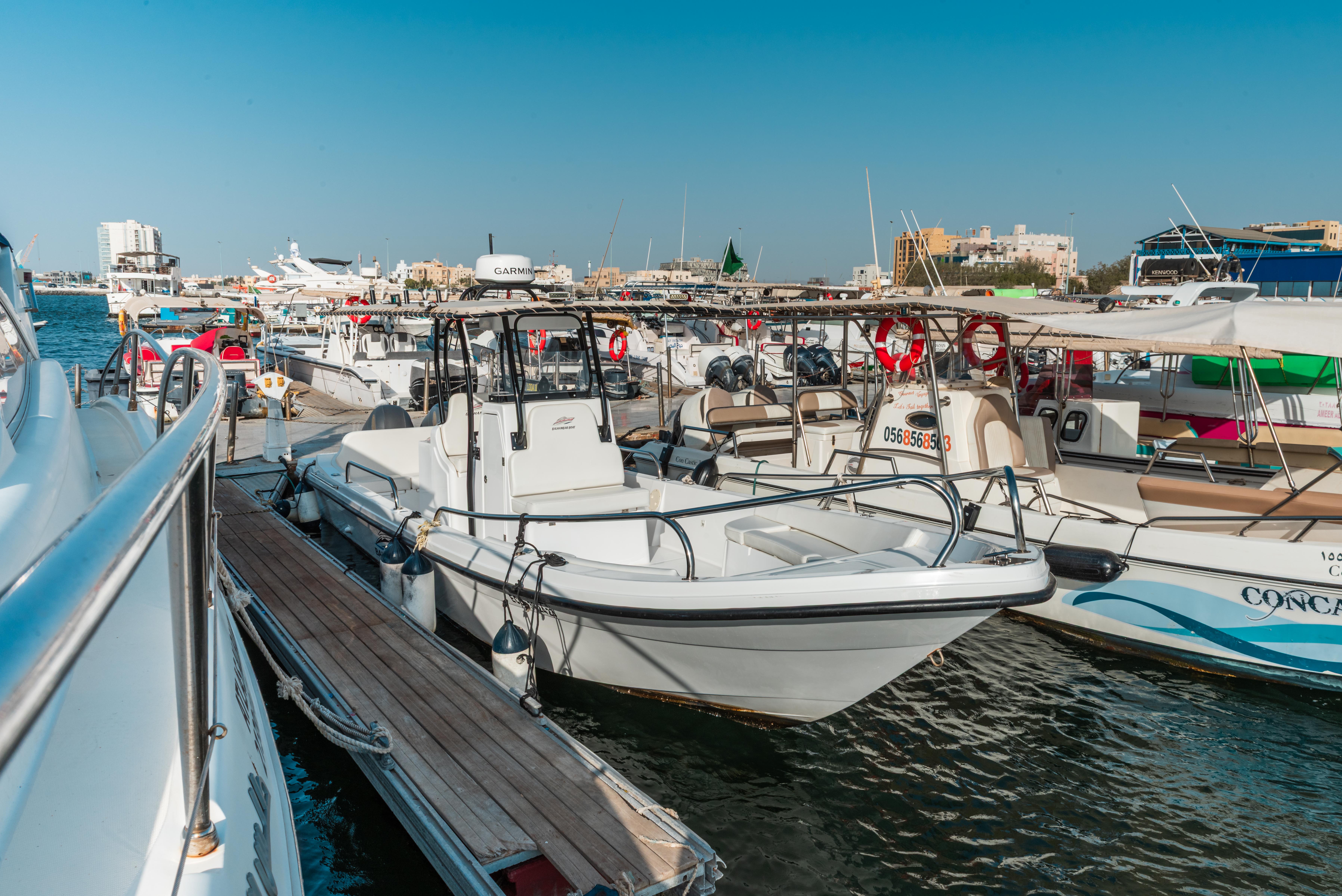 6-Hour Boat Trip on Abu Shira’a Boat to Bayada or Abu Tair Island For Groups
