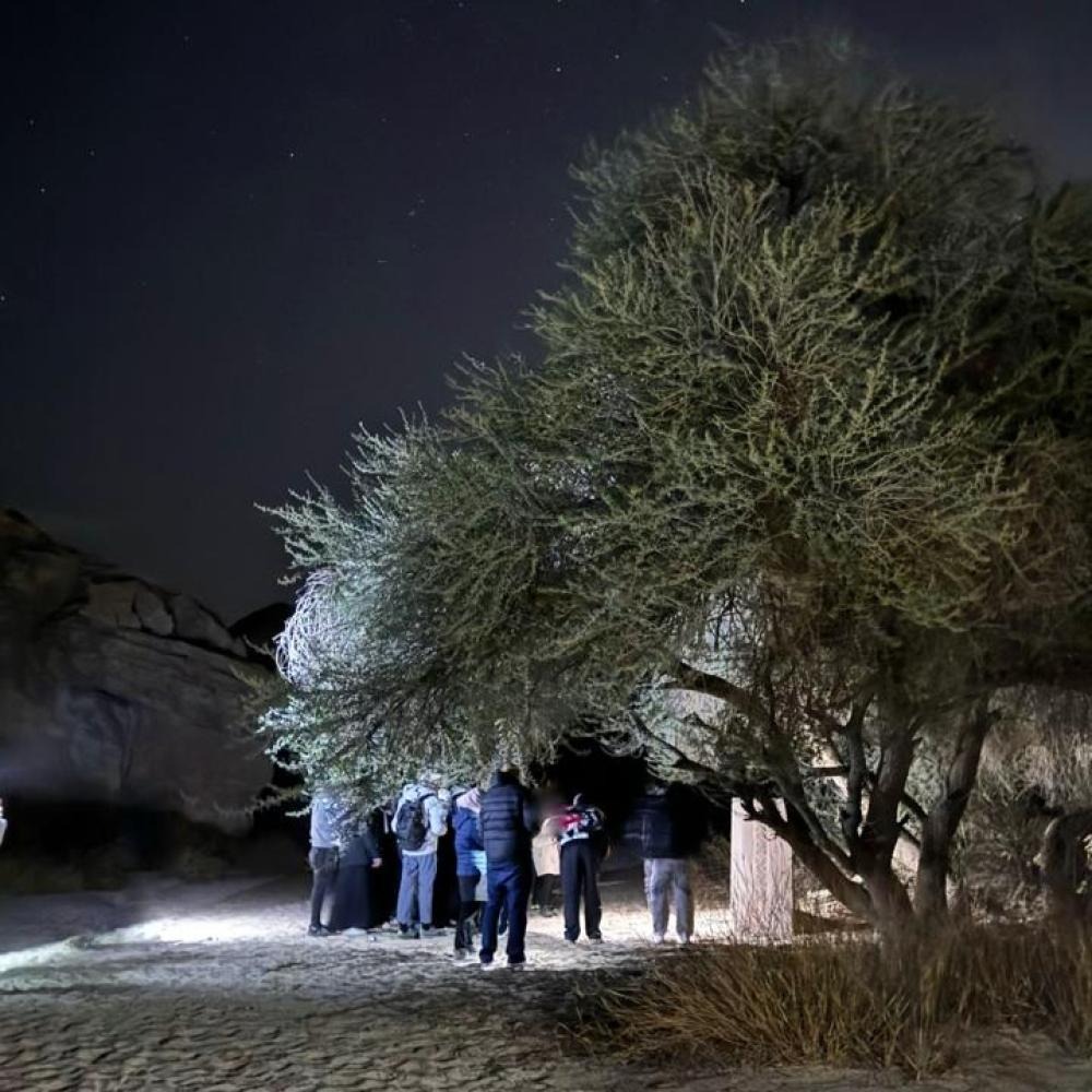 Thursday Night Kashta at King Khalid Reserve