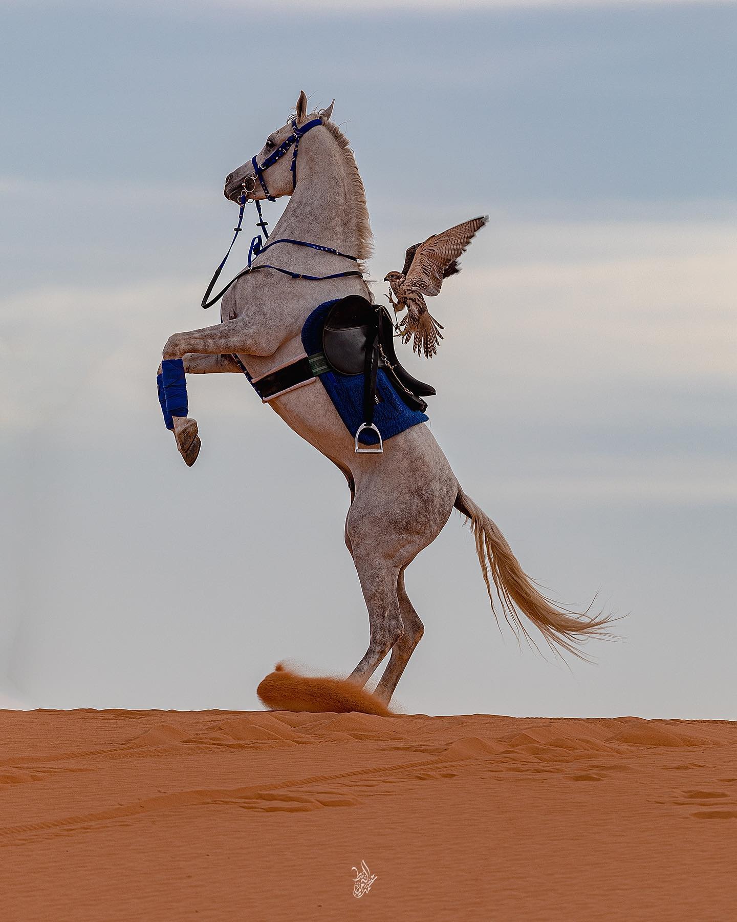 Riyadh: Horse Riding in the Red Sands