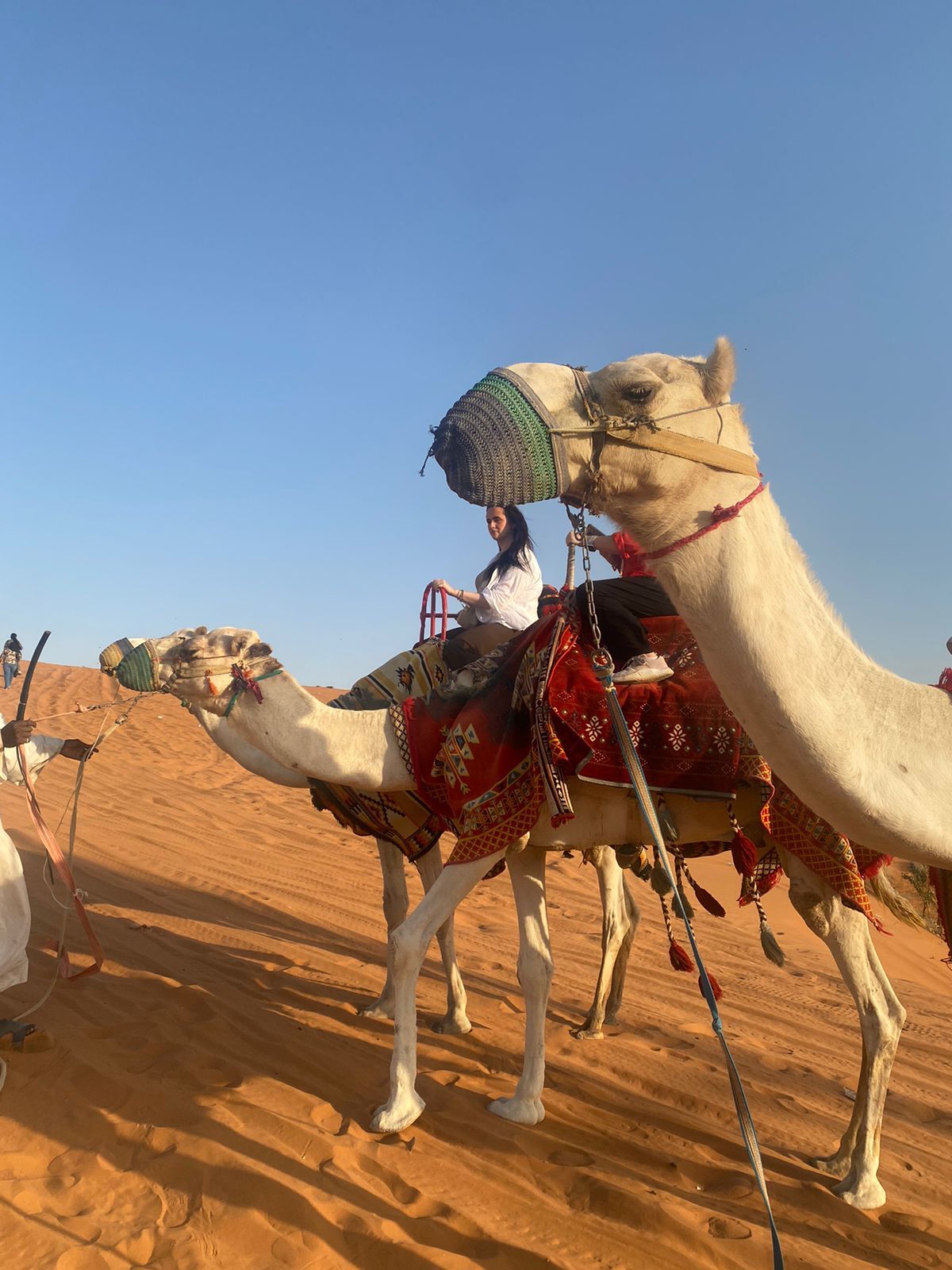 Quad bike & Camel ride in the Desert of Riyadh