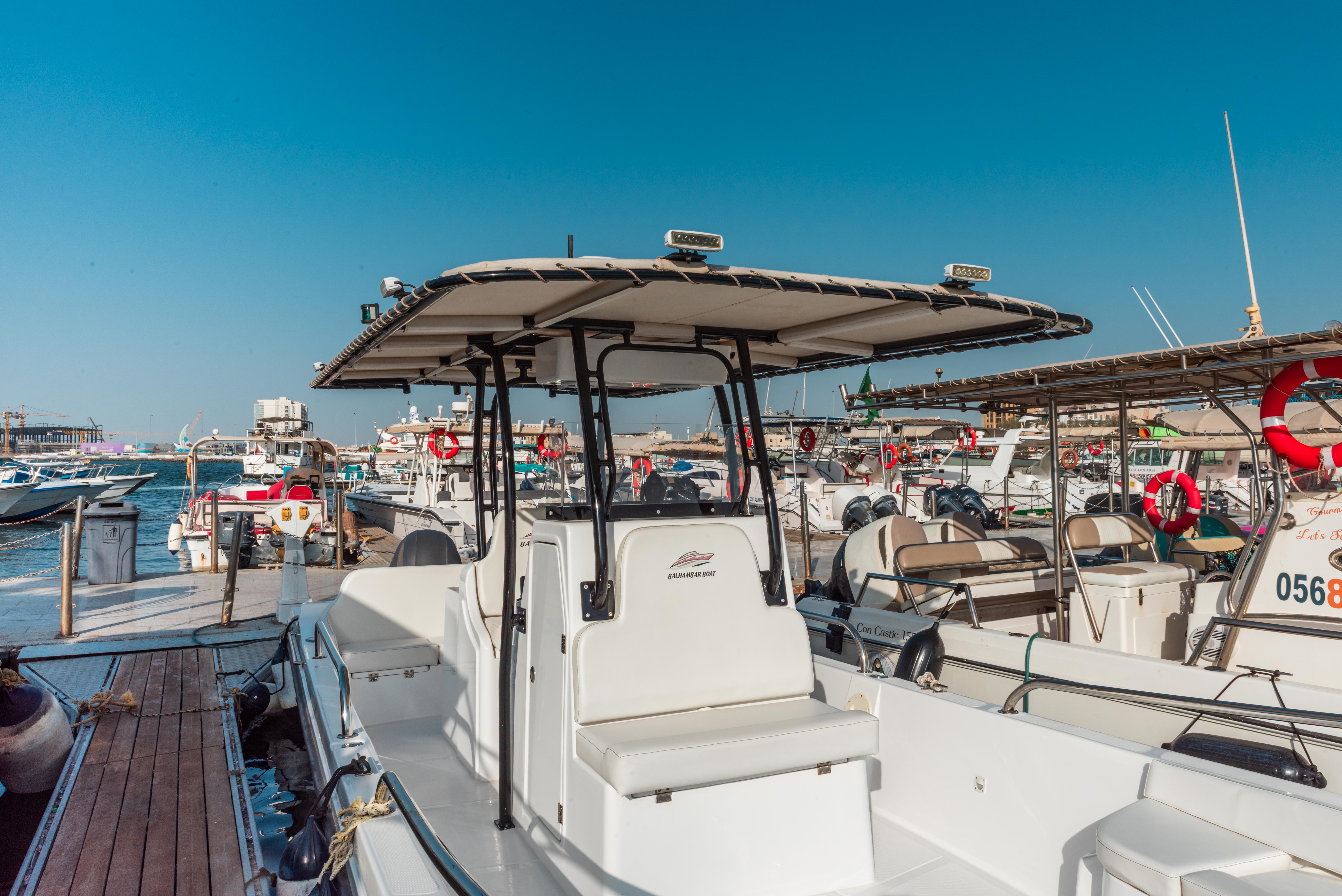 6-Hour Boat Trip on Abu Shira’a Boat to Abu Tair Island