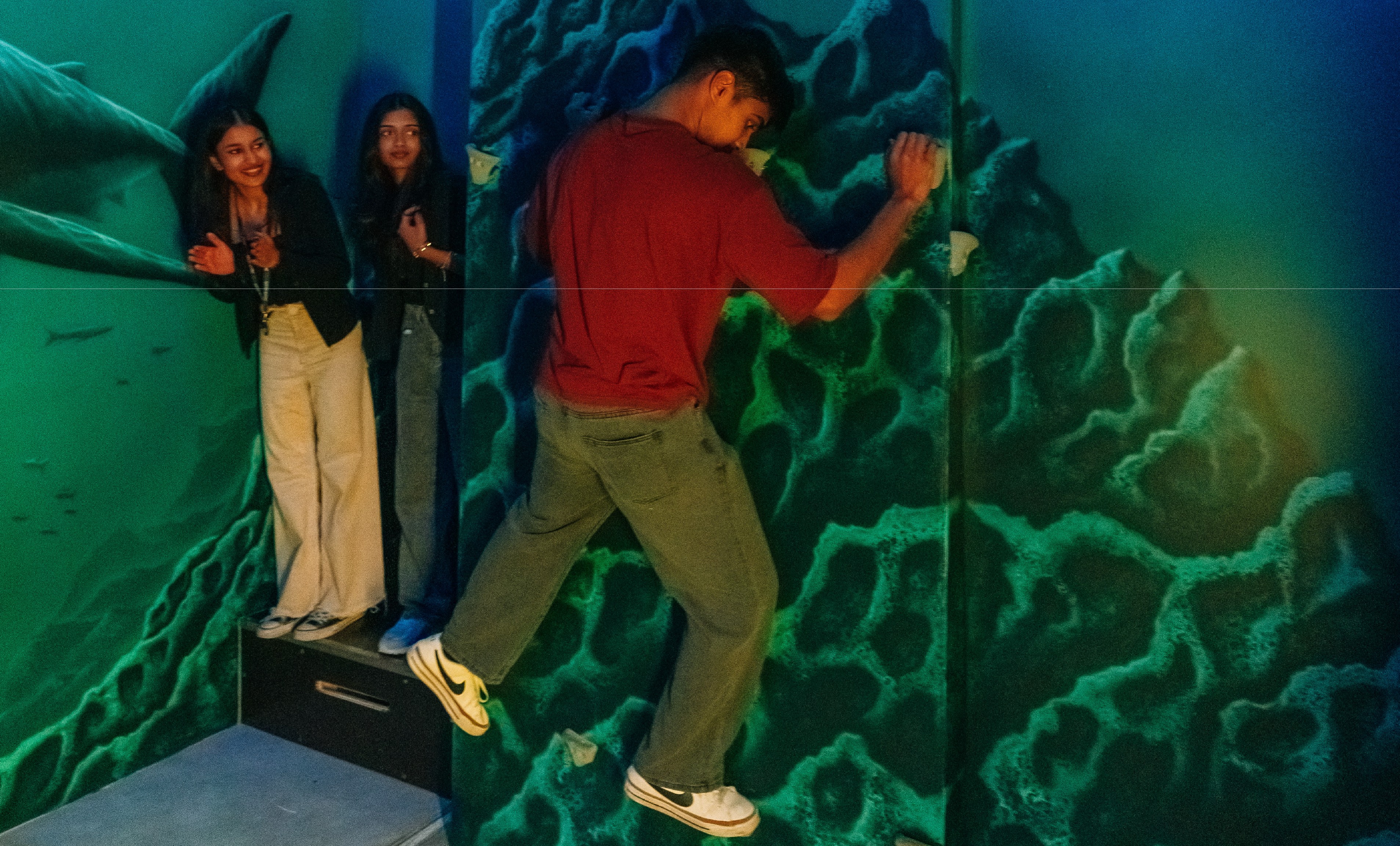 An Entry Ticket to Prison Island Abu Dhabi