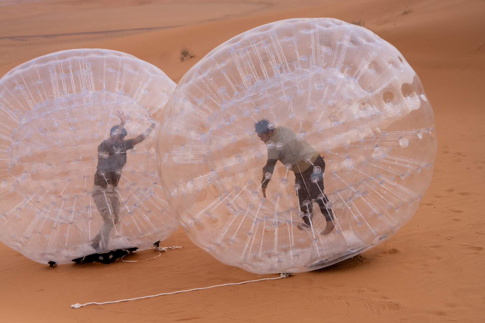 Safari Desert Adventure in Dunes of Al Reem 