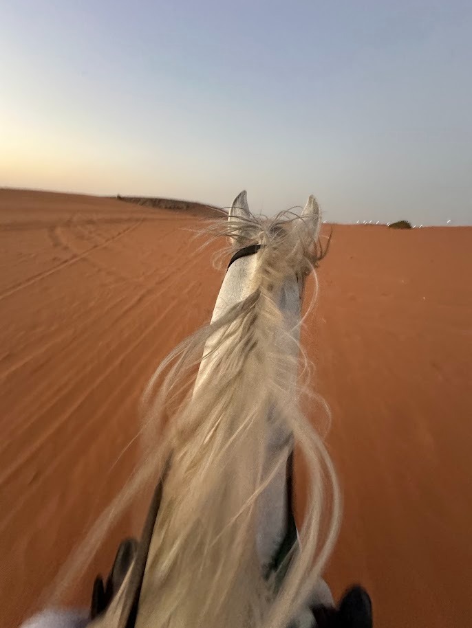 Per Groups (3 Persons): Horse Riding in Al Muzahmiya for 130 Instead of 150 SAR