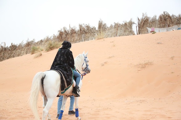 Per Groups (3 Persons): Horse Riding in Al Muzahmiya for 130 Instead of 150 SAR