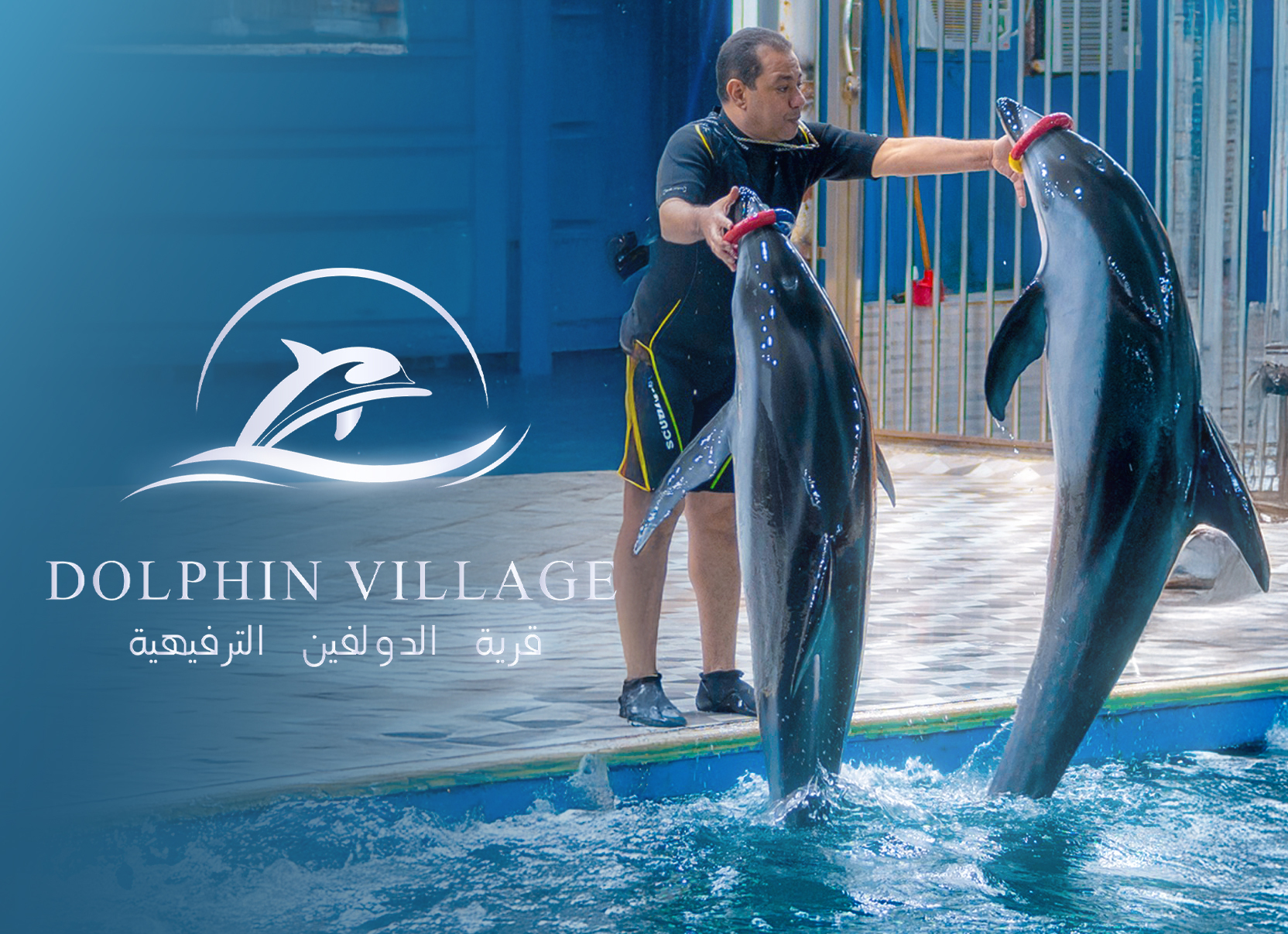 Entry Ticket to Dolphin Village + Access to All Shows Only for 69 SAR