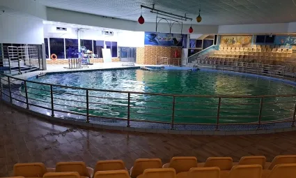 Entry Ticket to Dolphin Village + Access to All Shows with 20% Off