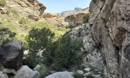 Manaa Hiking: A Hiking Experience on a 5-Kilometre Tarail 