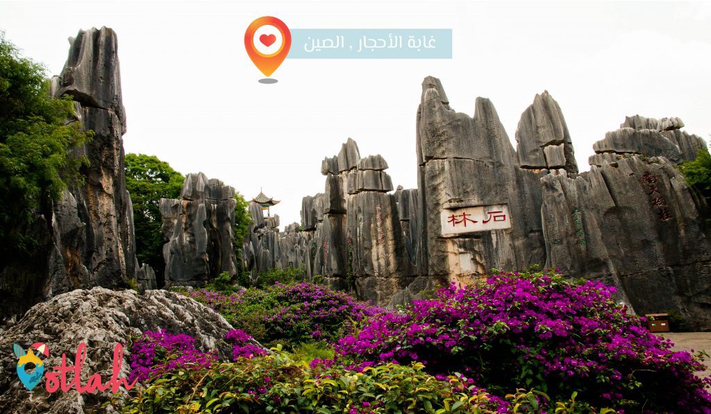 اغرب الاماكن فى العالم - غابة الأحجار